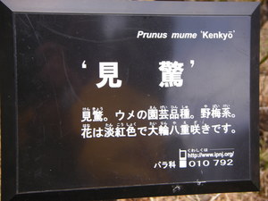 20100221_50.JPG
