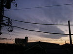 PA290249.JPG