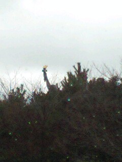 081214_1305~0001.jpg