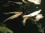 SN3K0200.jpg